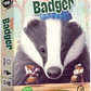 Tricky Badger